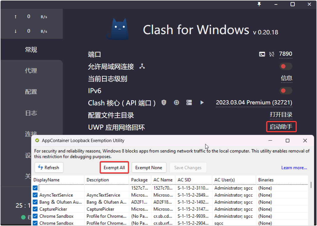 clash设置